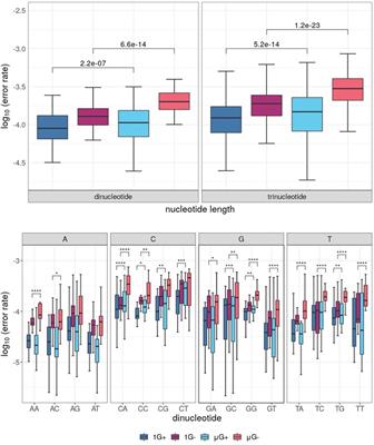 Fidelity of a Bacterial DNA Polymerase in Microgravity, a Model for Human Health in Space